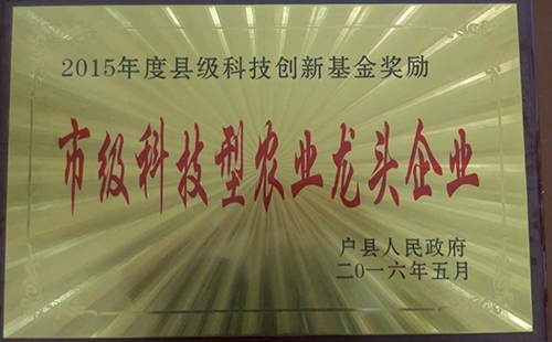 荣誉资质